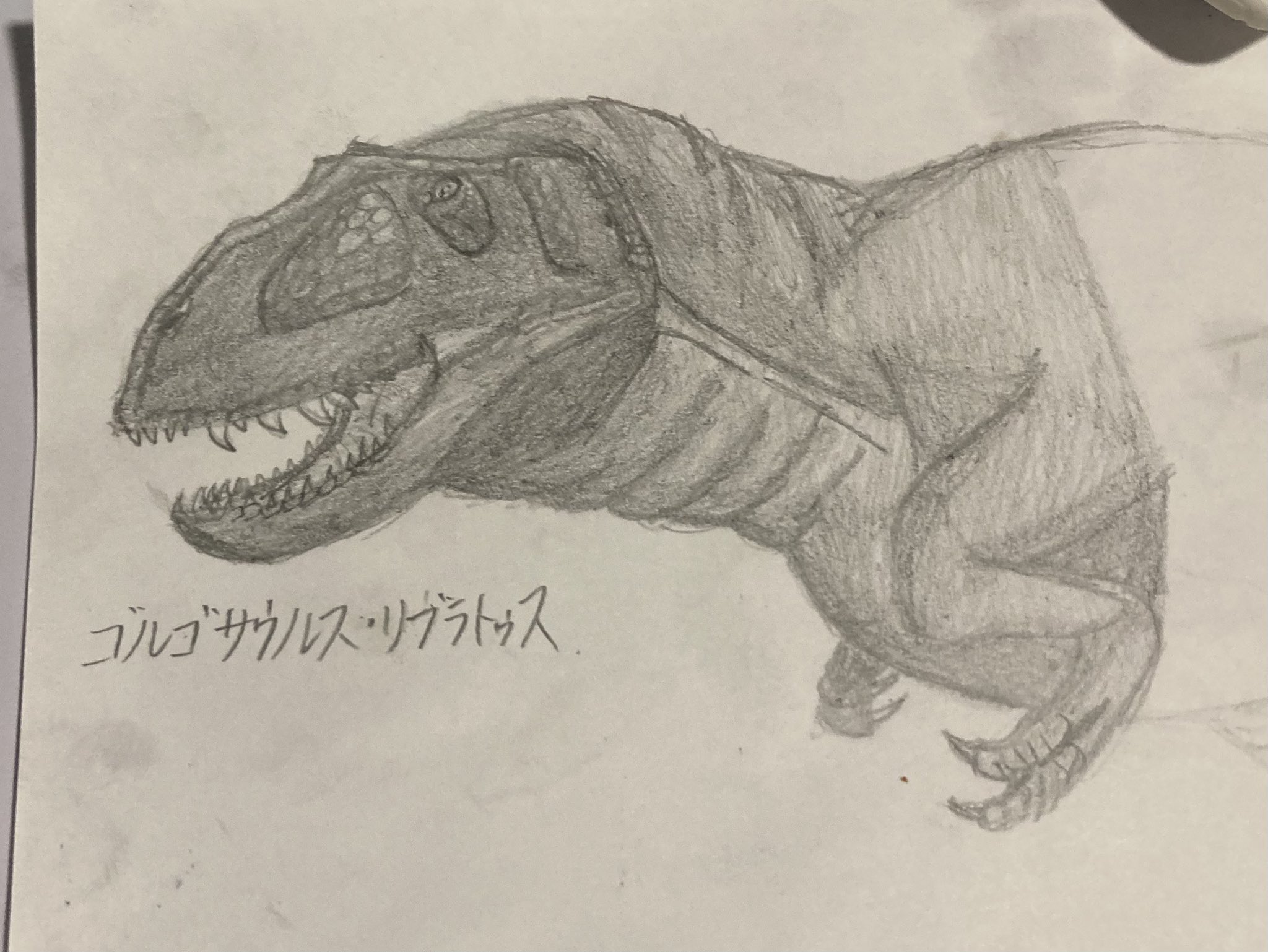 「ゾウ」の絵画❗早いもの勝ち❗ 象、1637年 | アートプリント