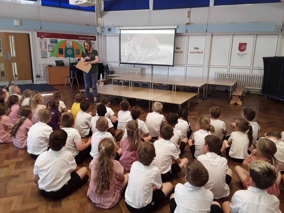 Hedgehogs took centre stage in our KS1 assembly today! Huge thanks to Prickly Edge for the information and fascinating facts! #HedgehogHeroes