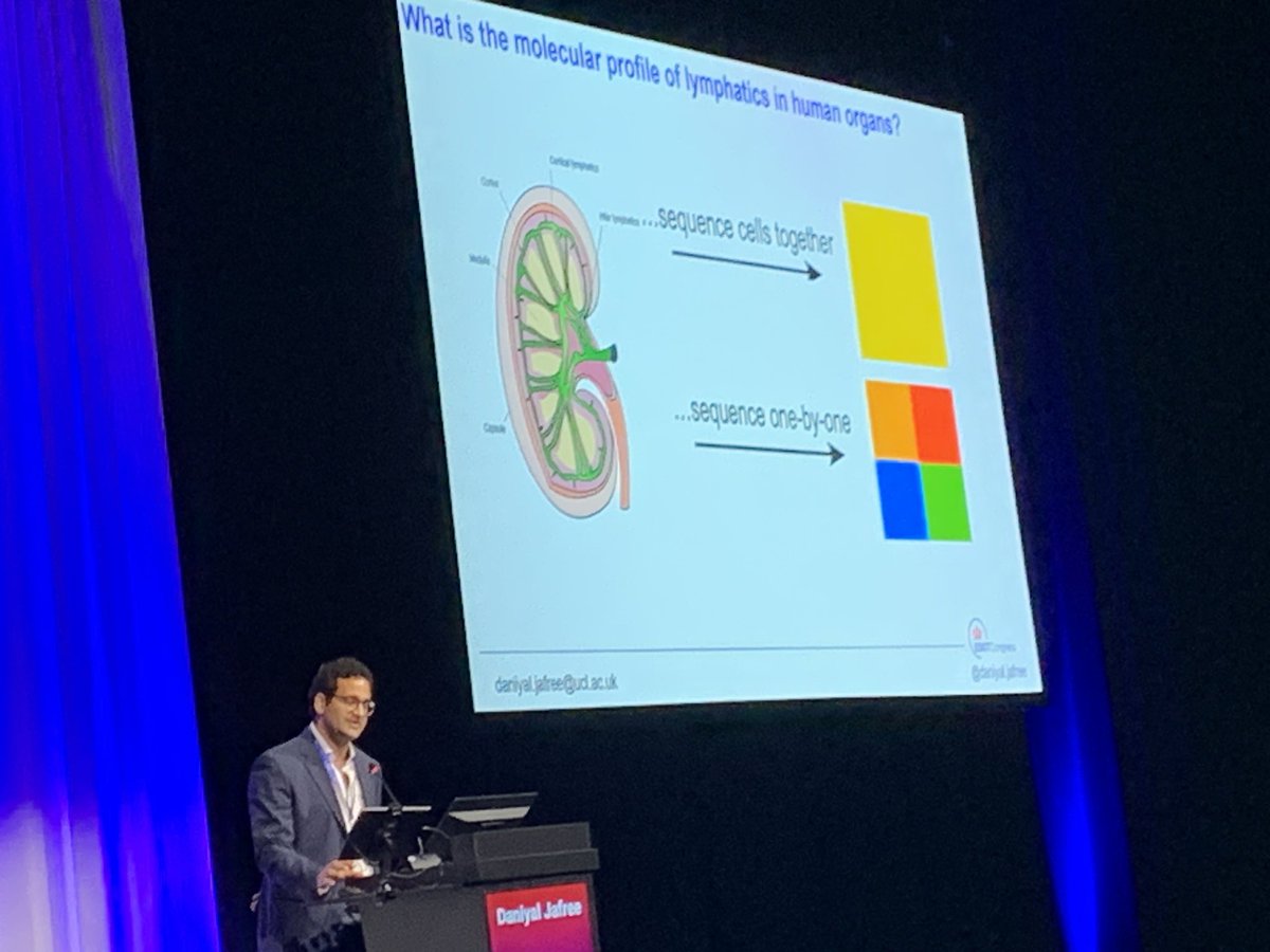 Congratulations to <a href="/daniyal_jafree/">Daniyal Jafree</a> from <a href="/DBC_ICH/">Developmental Biology & Cancer</a>, <a href="/GoshRenal/">GoshRenal</a> and <a href="/RenalUCL/">UCL Renal</a> for excellent basic science oral abstract presentation covering the role of lymphatics in allograft inflammation and rejection noting the tolerogenic immune profile of lymphatics <a href="/ESOTtransplant/">ESOTtransplant</a> #ESOT2025