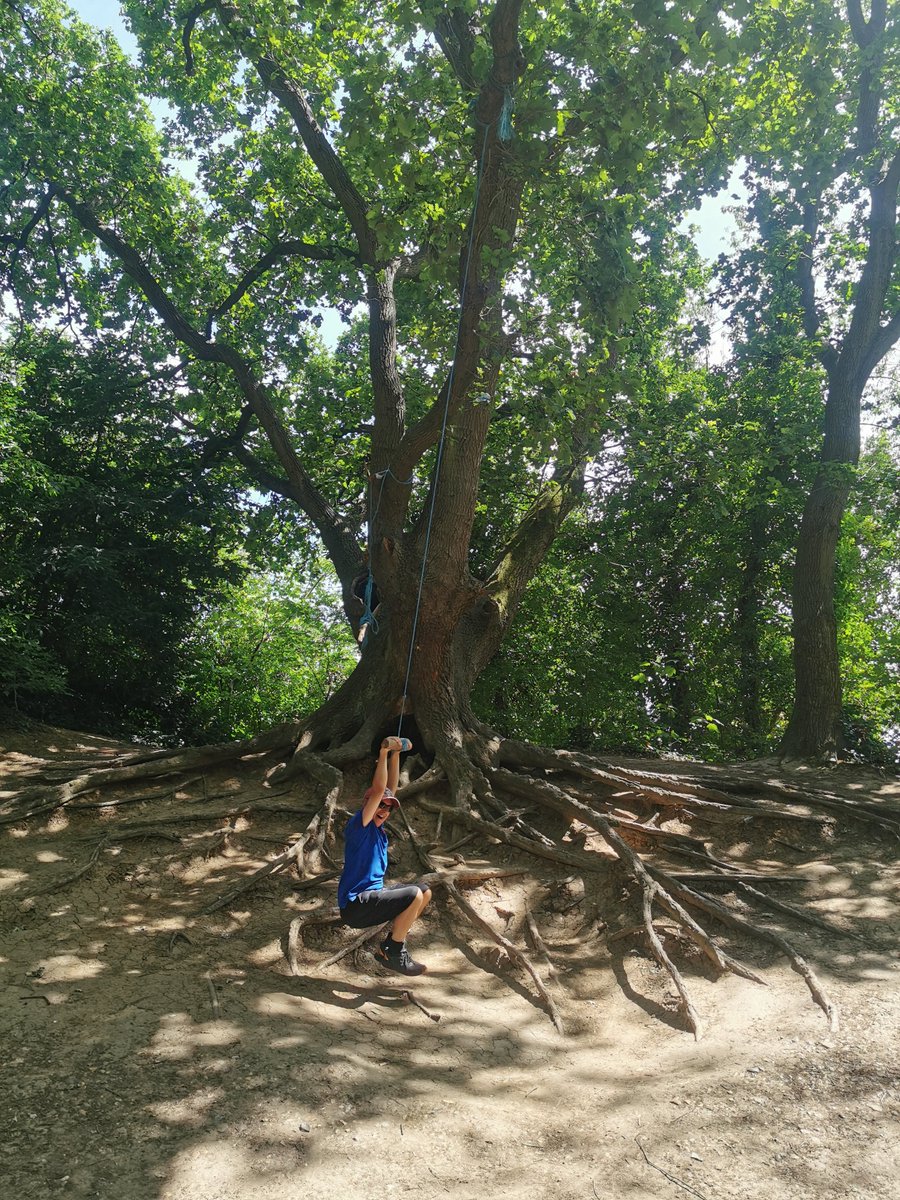 We had a fabulous community walk along the Parkland Walk, from Finsbury Park to Alexandra Palace. We learnt about its history as a railway line, and took a closer look at nature along the way. We couldn't resist an opportunistic swing too!
@waesonline #DiscoverYourLondon