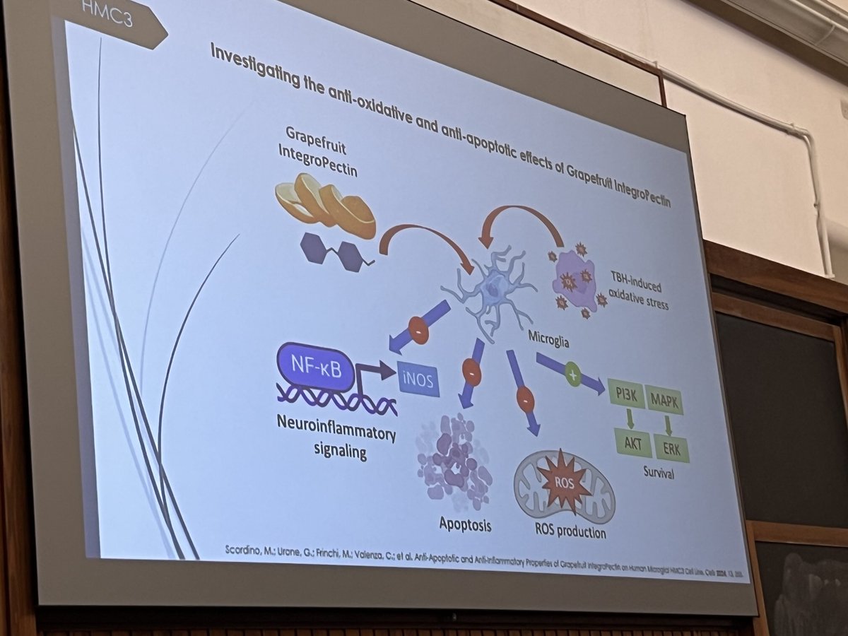 helionomics's tweet photo. Chiara Valenza defends her #PhD Thesis on Citrus #IntegroPectin during which she unveiled anti-apoptotic and anti-inflammatory properties of grapefruit IntegroPectin isolated at our ⁦@CNRsocial_⁩ Labs in Sicily and Tuscany. https://t.co/xa0srYZ8Lk