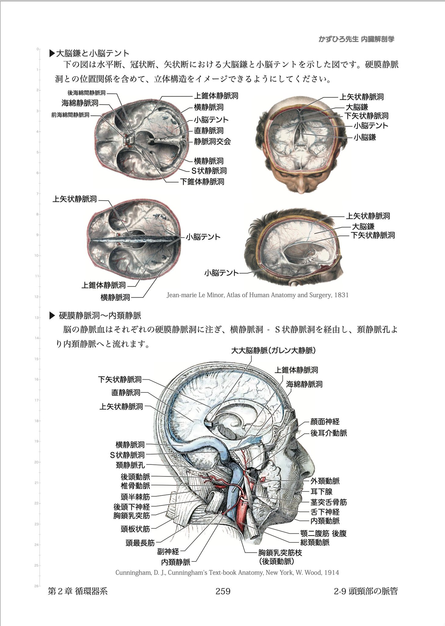 病理学 遺伝学 生化学 解剖生理学 技術教本 病理学 遺伝学 生化学 解剖生理学 技術教本