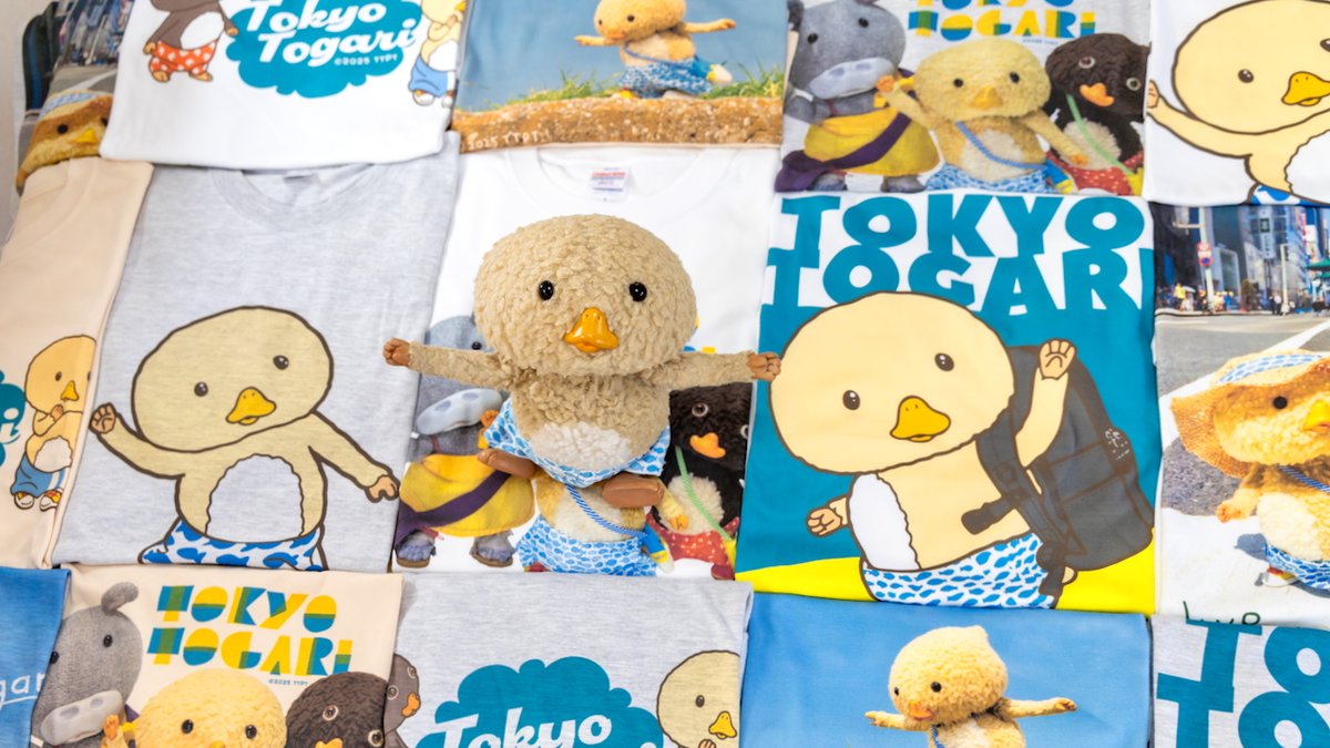 ティシャツのよやくは、今日までです👕
今年も、みんなのナツが、おもしろいこと、いいぱいになりますよおに☀️