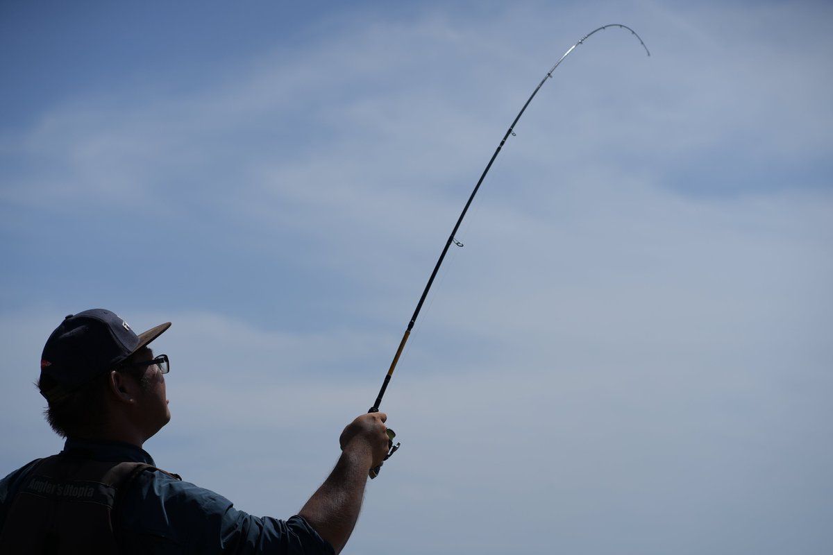 こんばんは！きじはたこです！ この度、Fin-chよりリリースされる