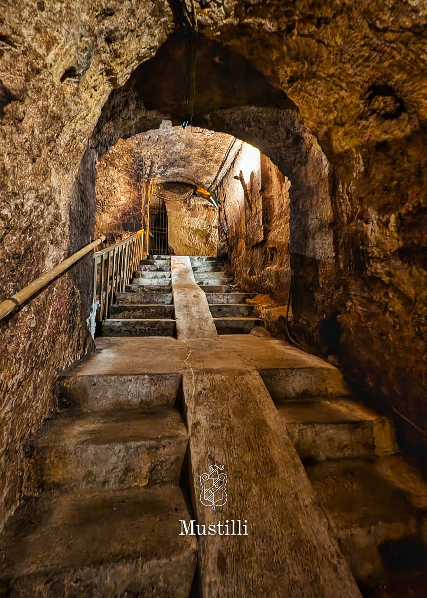 Cantine Mustilli tweet media