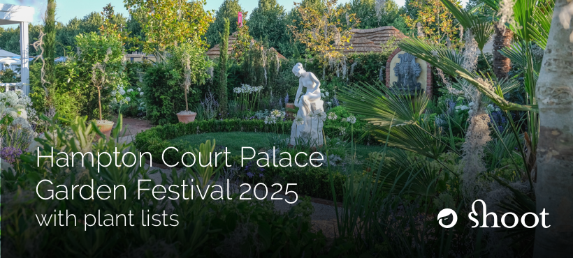 New: Hampton Court Palace Garden Festival 2025 with plant lists. shootgardening.com/articles/types…