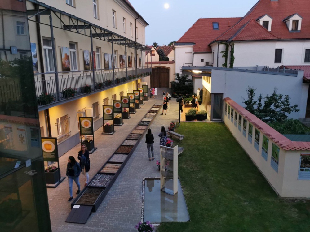 🥒🍓Okurková sezóna? Ano! A také zavařování kompotů a marmelád, lisování ovocných šťáv, sušení ovoce. Jaké metody a předměty ke zpracování ovoce a zeleniny používali naši předkové? V NZM ve Valticích jsme k tématu připravili novou výstavu. K vidění od 1. 7. až do 12. 10. 🥭