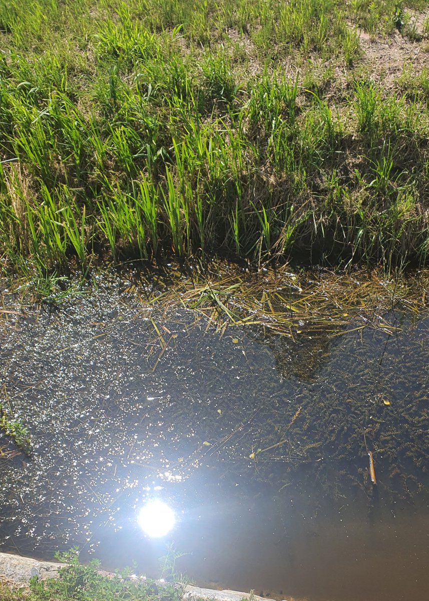 micha1956841's tweet image. W końcu mogłem się umyć 😆