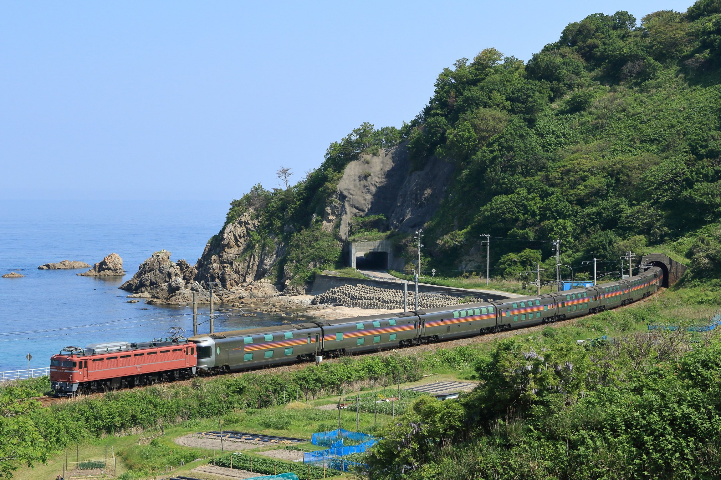 なっちゃん ライブディオZX(ホンダ) | なっちゃん！？の愛車 | みんカラ