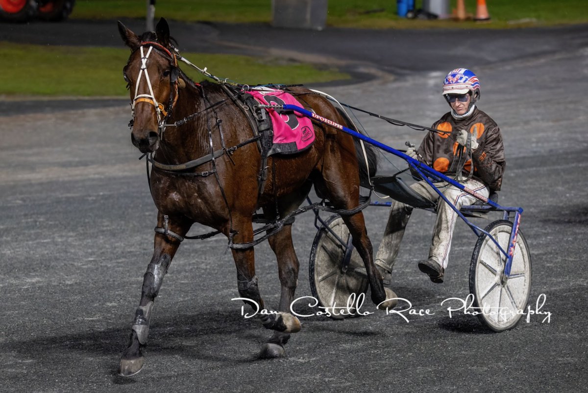 Dan Costello (@danracingwrap) on Twitter photo Jimmy Joyce with <a href="/garrard_angus/">Angus Garrard</a> take out race 6 <a href="/redcliffe_hrc/">Redcliffe Harness Racing Club</a> for trainer Doug Lee <a href="/AndrewCrisan74/">Andrew Crisan</a> <a href="/joedyk/">Joedy LEE</a> Jimmy Joyce with <a href="/garrard_angus/">Angus Garrard</a> take out race 6 <a href="/redcliffe_hrc/">Redcliffe Harness Racing Club</a> for trainer Doug Lee <a href="/AndrewCrisan74/">Andrew Crisan</a> <a href="/joedyk/">Joedy LEE</a>