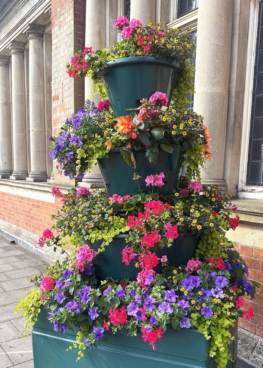 RoyalSutColTC's tweet image. The Town Council has funded over 500 stunning floral displays which are now out across our Royal Town🌺!
Look out for:
🌿Hanging baskets
🌷Planters
🌻Beautiful ‘flower towers.'