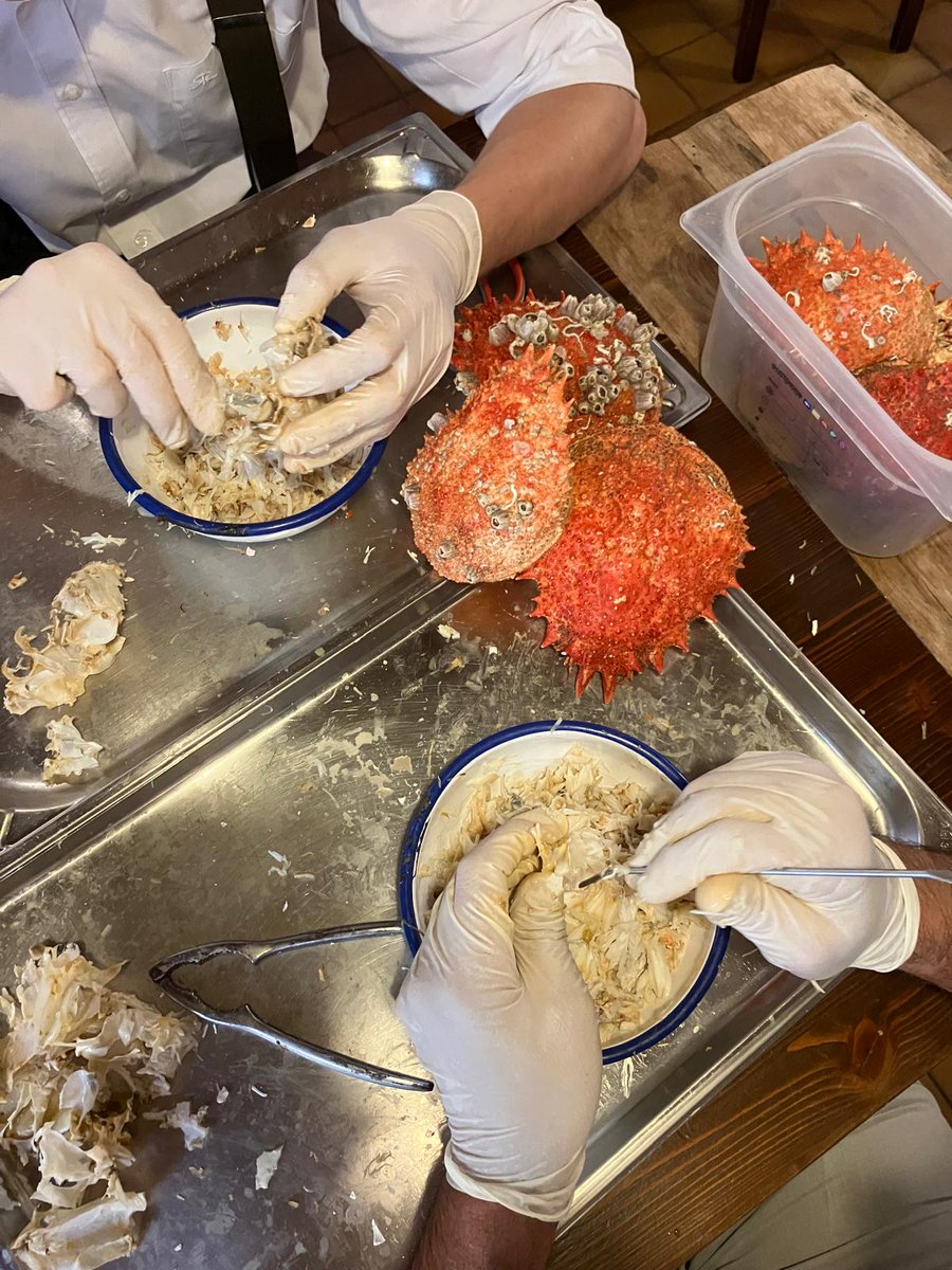 AnzoloRaffaele's tweet photo. Have you ever tasted Granseola? This prized crustacean resembles a large crab, and can reach dimensions of 20 cm. With its majestic appearance, this crustacean hides a delicate soul: a white and compact meat, with a sweet and slightly salty taste.  Come and try it!. https://t.co/u9SyqzHKD8