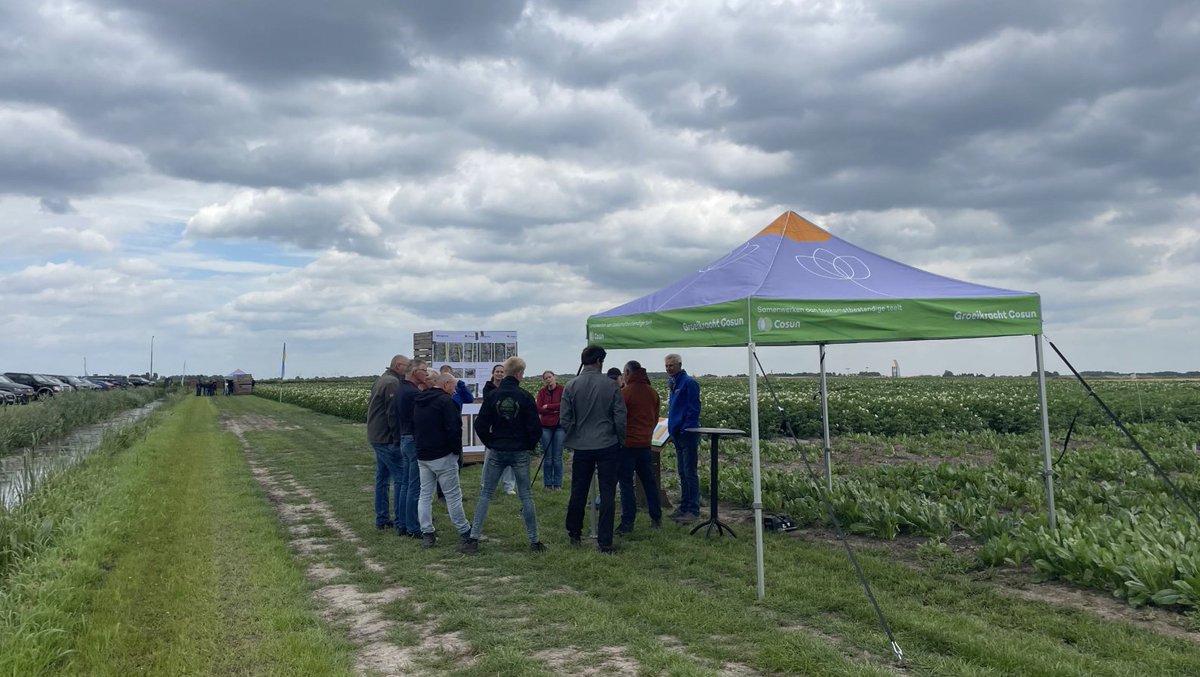 Groeikracht Cosun tweet media