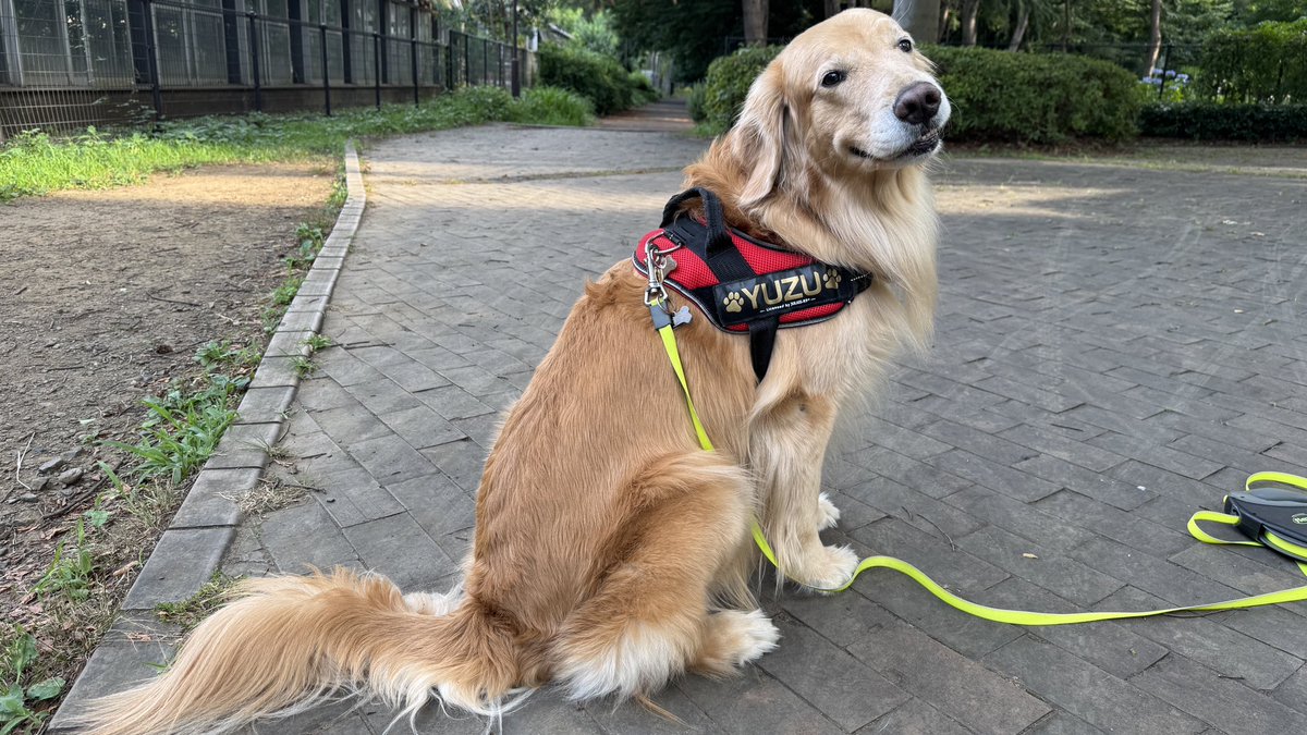 後ろ向きからのニヤリ☺️