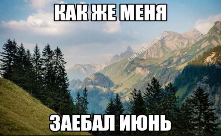 TatarOps (@vivirinter) on Twitter photo 