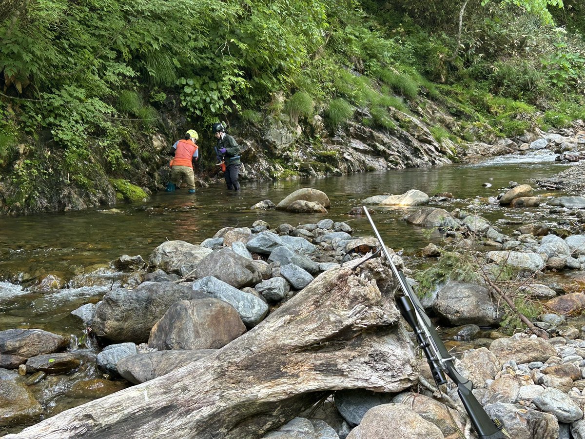 anchan_climber's tweet image. フィールド調査もおこないながら護衛もこなしております。
獣に遭遇する頻度が格段に高くなっていると実感しております。
#300WSM