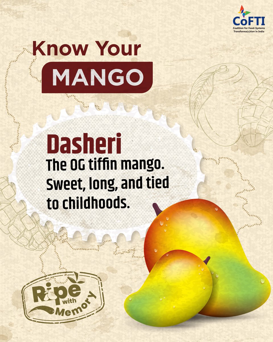 Cofti_india's tweet image. Dasheri—the sweet, slender mango from UP’s orchards.
Born in a village near Lucknow, it’s a sticky summer ritual, passed down by small farmers & slurped straight from the fridge.
Got a Dasheri memory? Share it.
#RipeWithMemory #Dasheri #MangoHeritage #CoFTI #IndianMangoes