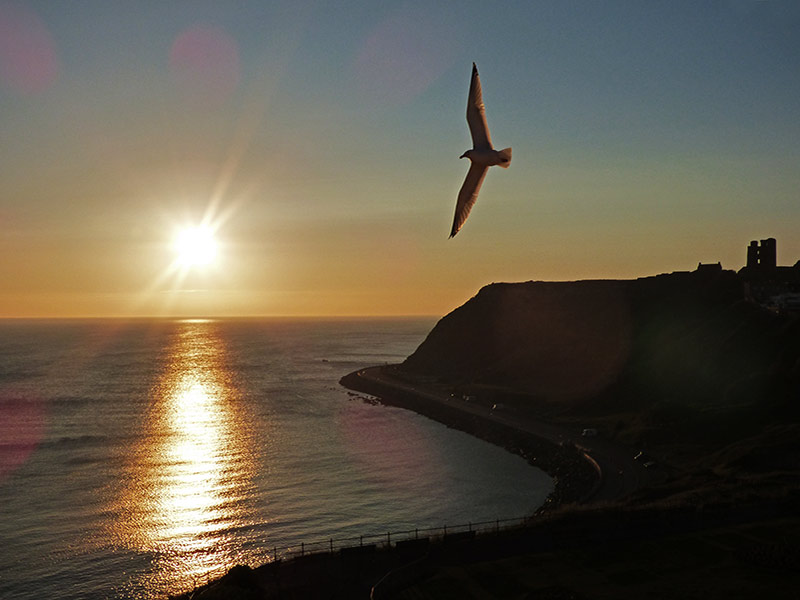 FeelBetter2day's tweet image. Sunrise from 2019  #Scarborough