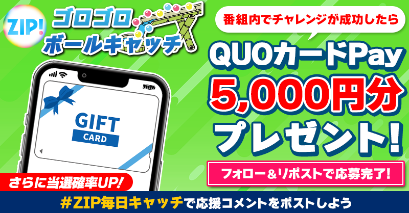 ZIP_TV's tweet photo. 5️⃣0️⃣0️⃣0️⃣円分のQUOカードが
　     成功するたび当たる❣
ZIP!ゴロゴロボールキャッチチャレンジ🏐

📝参加方法📪
1️⃣@ZIP_TV をフォロー☑
2️⃣この投稿をリポスト🔄
➕＃ZIP毎日キャッチ を付けて
応援コメントを投稿で当選率UP⤴

金曜日よる9時まで💨

詳細は画像をクリック👇#ZIP👐