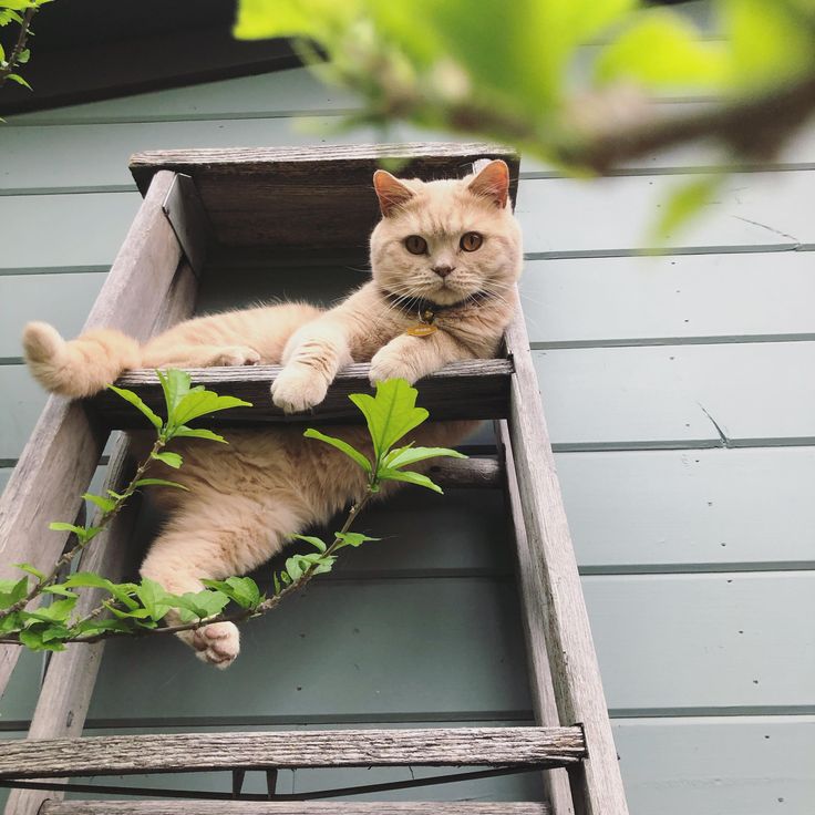 Nature_Views02's tweet image. So Cute 🥺