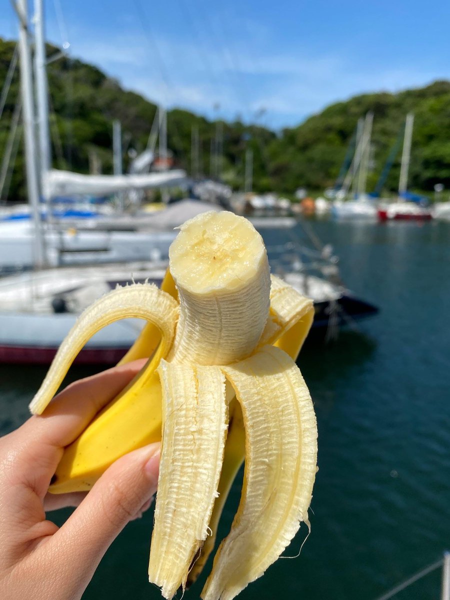 banana_univ's tweet image. ／
バナナをおともにリフレッシュ！！
＼
今日は海の恵みに感謝する『海の日』

🍌食べながら海眺めてるだけで癒されちゃいました
吹く風も波の音も…気持ちよかった～(≧◇≦)

🍌banana