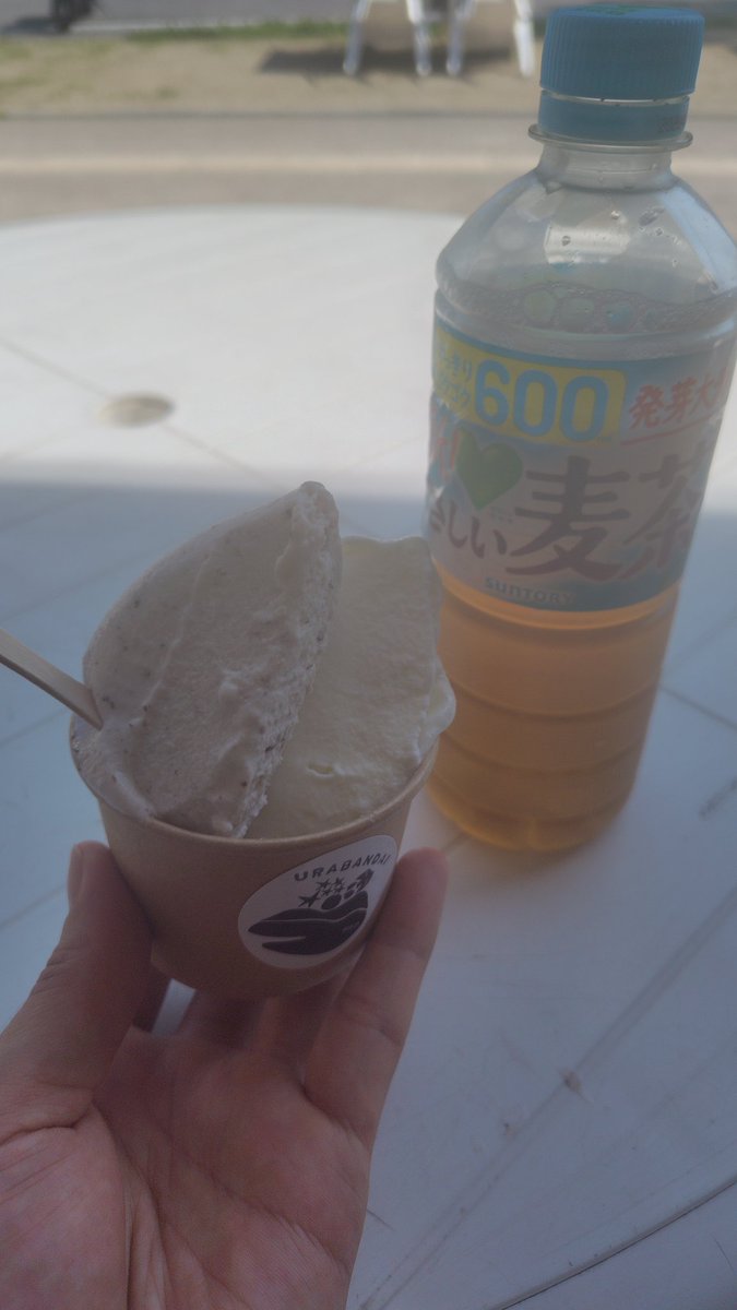 トレッキング後の冷たいアイスと麦茶が美味すぎる…！
ちなアイスは裏磐梯名物山塩と花豆