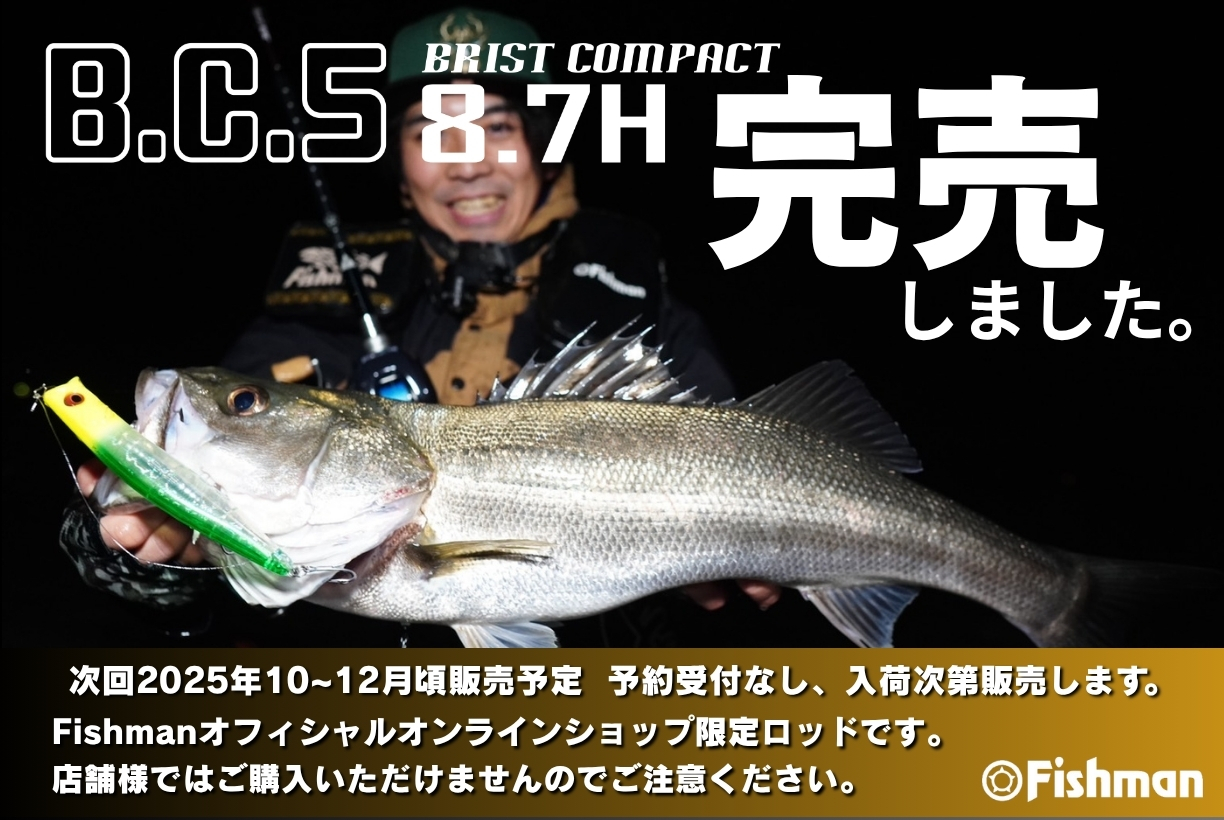 フィッシュマン BC4 5.10 LH フィッシュマン(Fishman) ブリスト(BRIST) 5.10LH ○廃番 完売しました