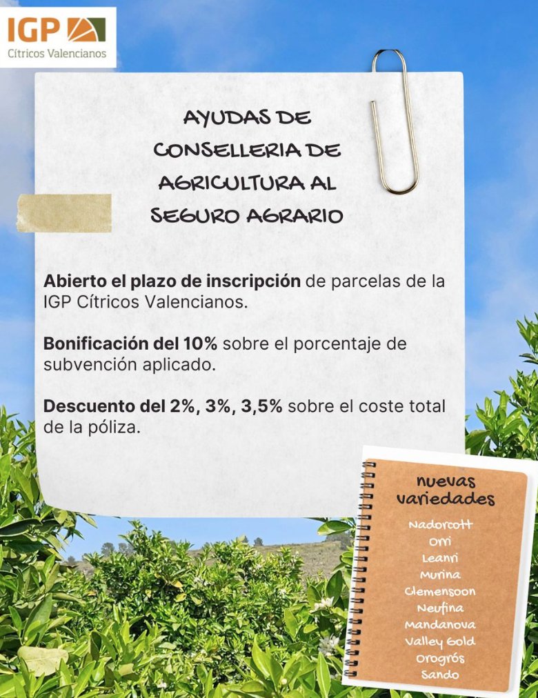 CValencianos's tweet image. Comenzamos semana y antes de finalizar el mes... recuerda: la @GVAagricultura  añade una bonificación sobre el porcentaje de subvención aplicado en el seguro agrario. Además, este año se incorporan nuevas variedades a @CValencianos