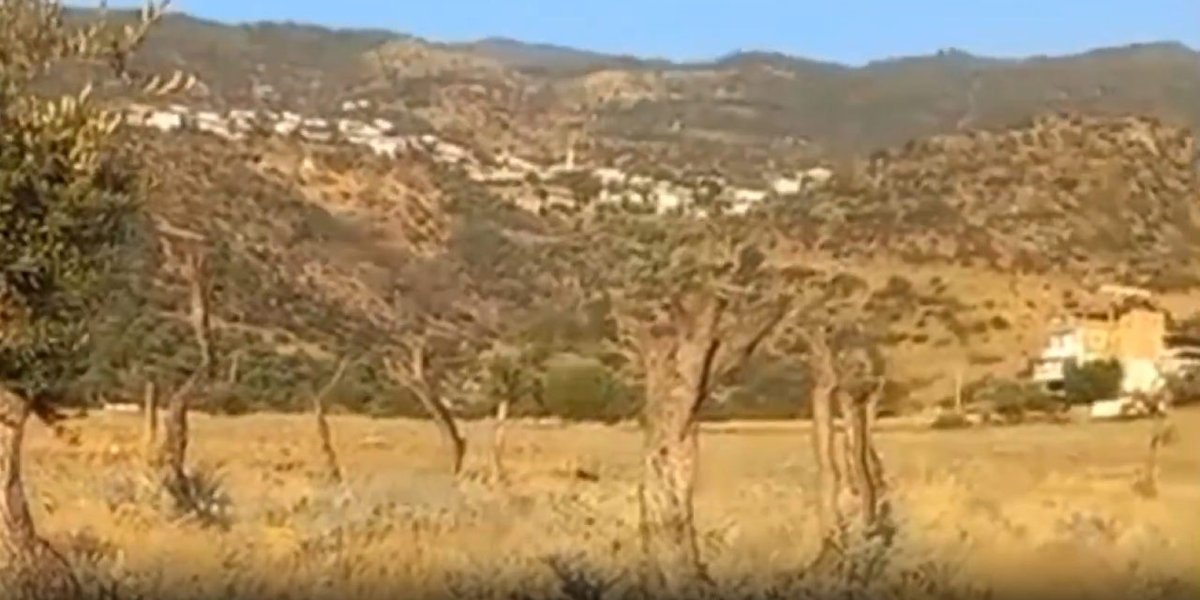 🔴'Kesmedik taşıdık' demişlerdi, ağaçların son hali ortaya çıktı

🔴‘Bu alan zeytin katliamı müzesi olsun’

gazetepencere.com/gundem/kesmedi…