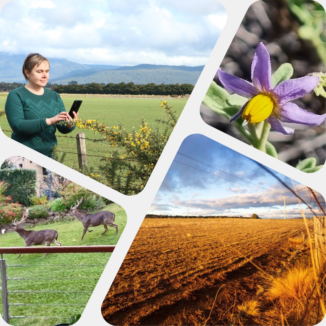 Centre for Invasive Species Solutions (@centreinvasives) on Twitter photo 🎤The June edition of the CISS Chronicle is out now!
In this edition:
✔️ National coordination team updates
✔️ Project progress highlights
✔️ New initiatives in the works
📰 Read loom.ly/FCvwX50
 #InvasiveSpecies #PestManagement 🎤The June edition of the CISS Chronicle is out now!
In this edition:
✔️ National coordination team updates
✔️ Project progress highlights
✔️ New initiatives in the works
📰 Read loom.ly/FCvwX50
 #InvasiveSpecies #PestManagement