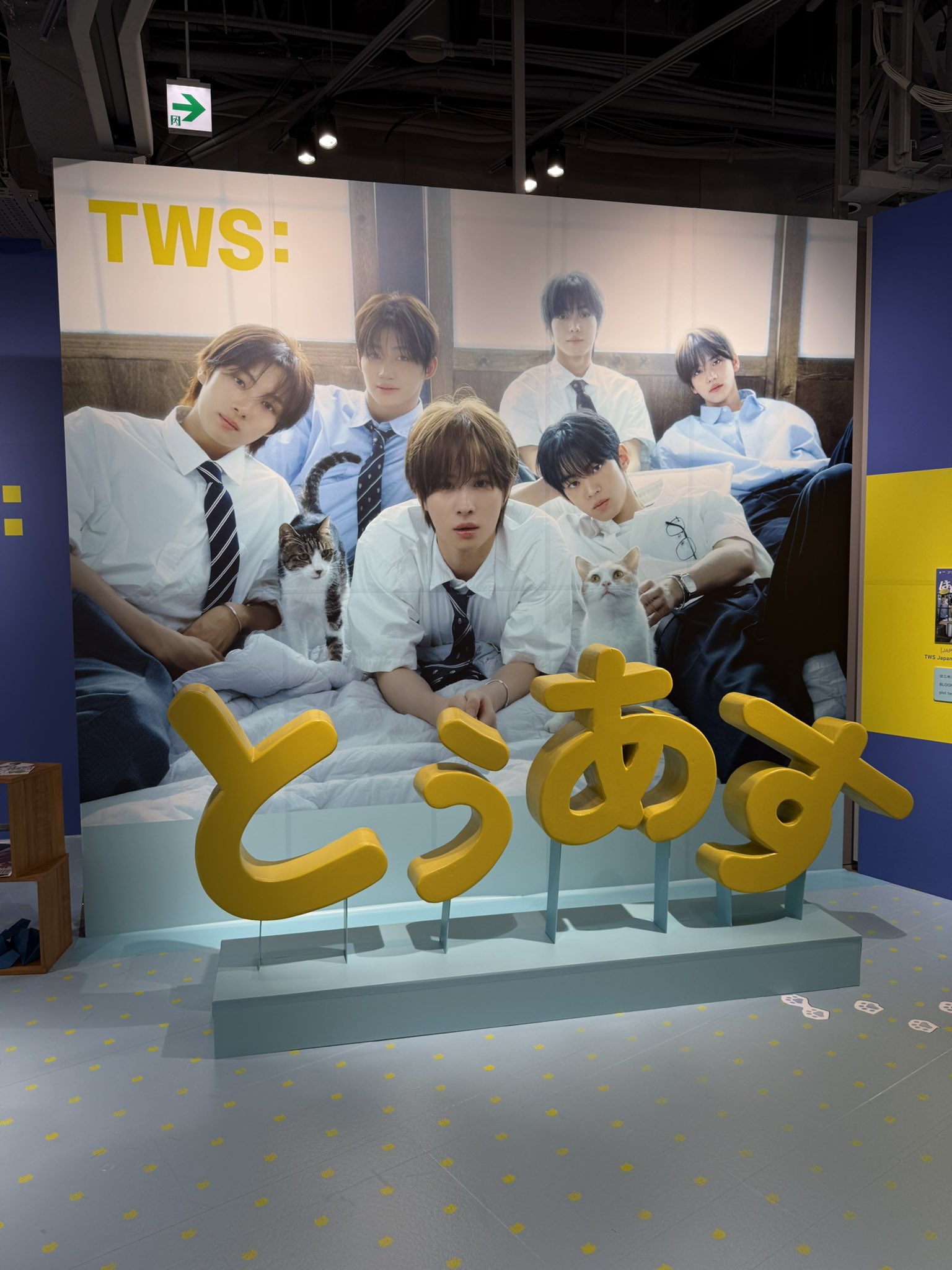 TWS パジャマ　popup ほたて (@HdG4l7pK8IEcjTX) / X