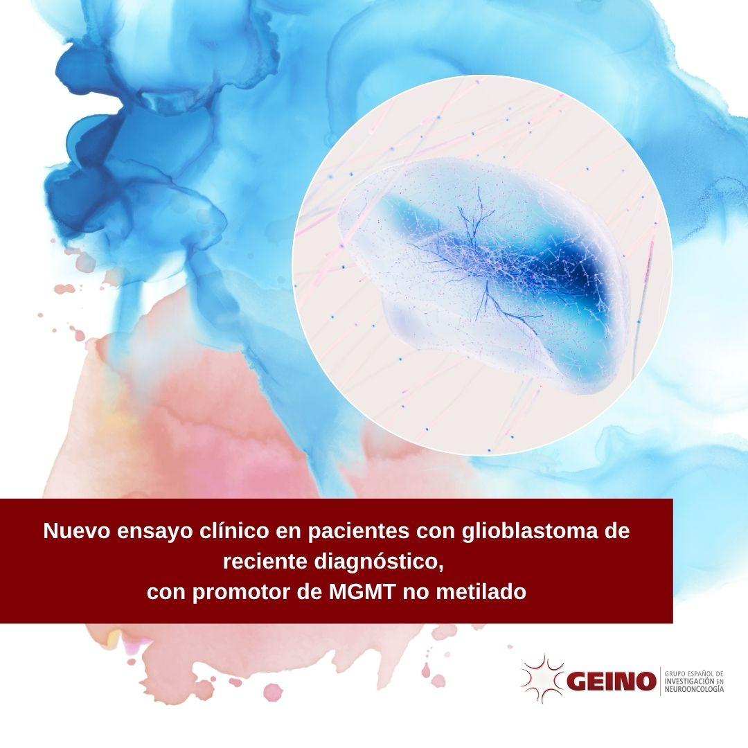 Información importante 🧠🔬Ensayo clínico en pacientes con diagnóstico reciente de glioblastoma, con promotor de MGMT no metilado. Más información en &gt; clinicaltrials.gov/study/NCT06388…