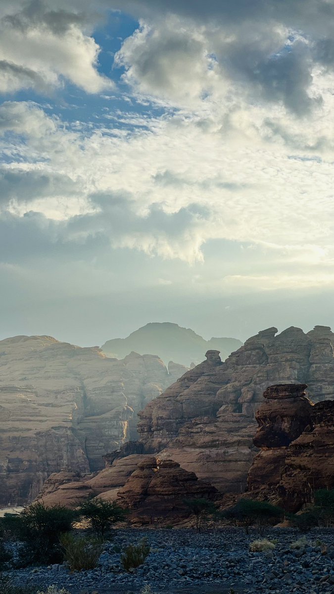 متعب | AlUla tweet media