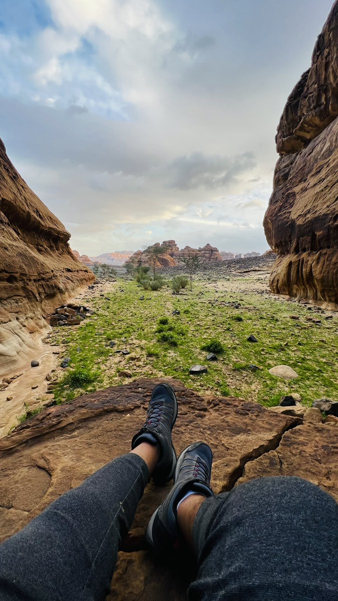 متعب | AlUla tweet media