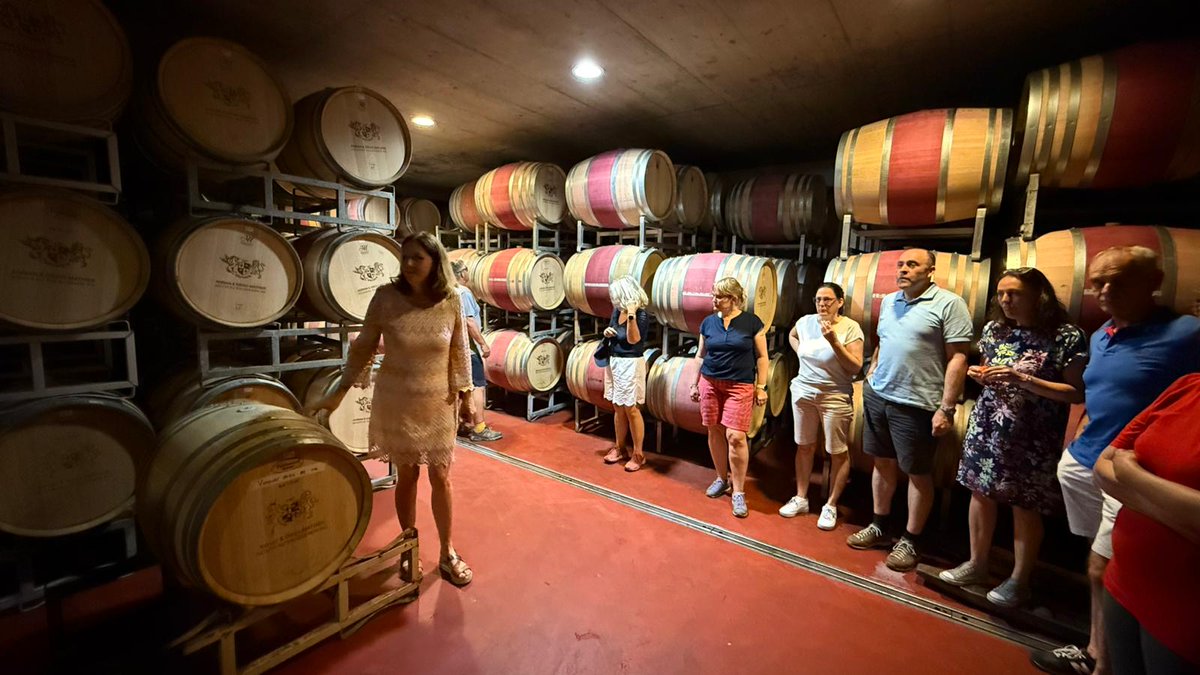 NouveauAG's tweet image. Rückblick auf das Weinfest „Wein &amp;amp; Aprikosen“: köstliche Weine, fruchtige Aprikosen, tolles Wetter und wunderbare Gesellschaft! 🍷🍑☀️ Danke an alle! #mathier #diegomathier #wallis #salgesch #walliserwein #aprikosen #event