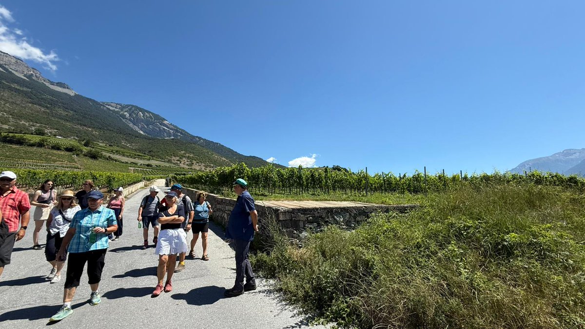 NouveauAG's tweet image. Rückblick auf das Weinfest „Wein &amp;amp; Aprikosen“: köstliche Weine, fruchtige Aprikosen, tolles Wetter und wunderbare Gesellschaft! 🍷🍑☀️ Danke an alle! #mathier #diegomathier #wallis #salgesch #walliserwein #aprikosen #event