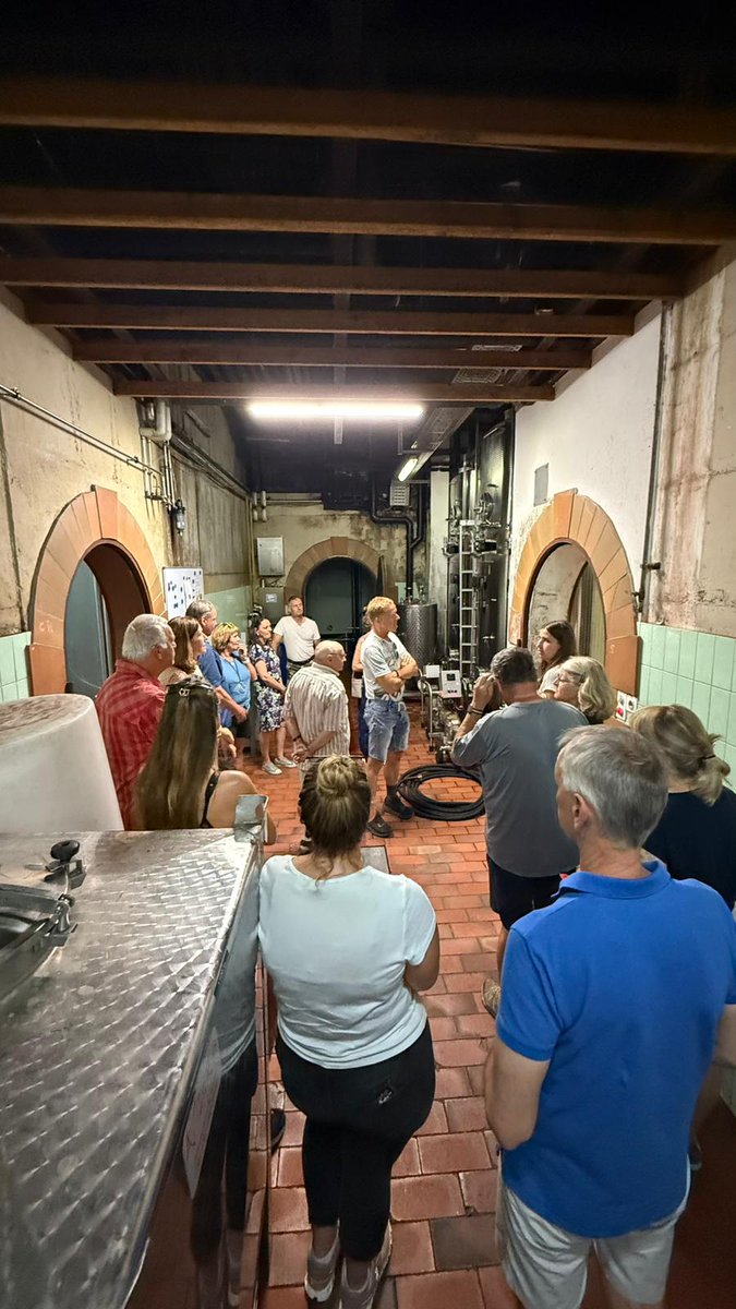 NouveauAG's tweet image. Rückblick auf das Weinfest „Wein &amp;amp; Aprikosen“: köstliche Weine, fruchtige Aprikosen, tolles Wetter und wunderbare Gesellschaft! 🍷🍑☀️ Danke an alle! #mathier #diegomathier #wallis #salgesch #walliserwein #aprikosen #event