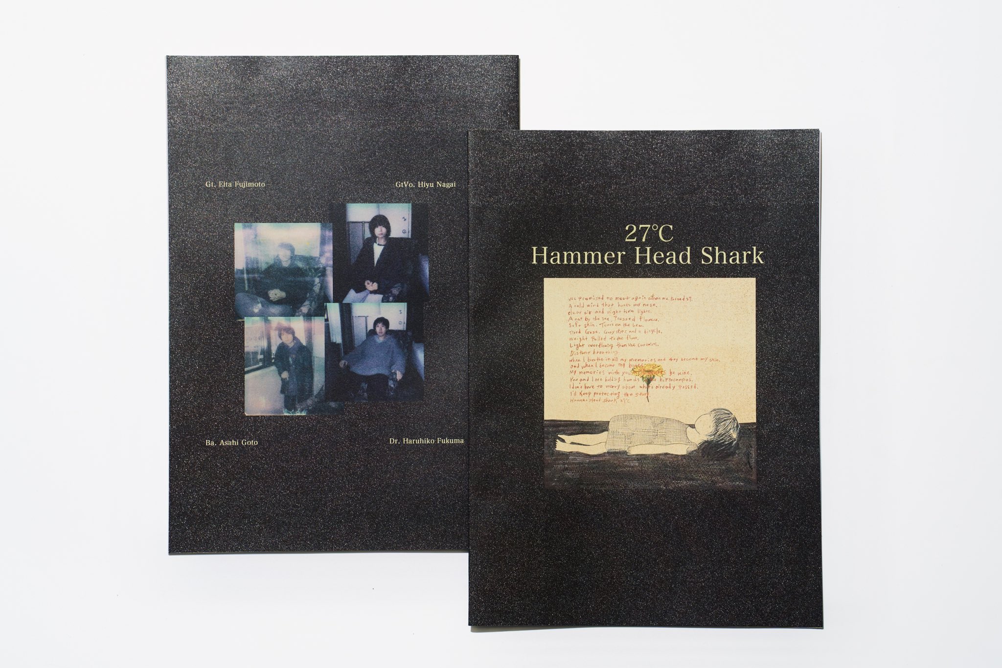 Hammer Head Shark on X: 