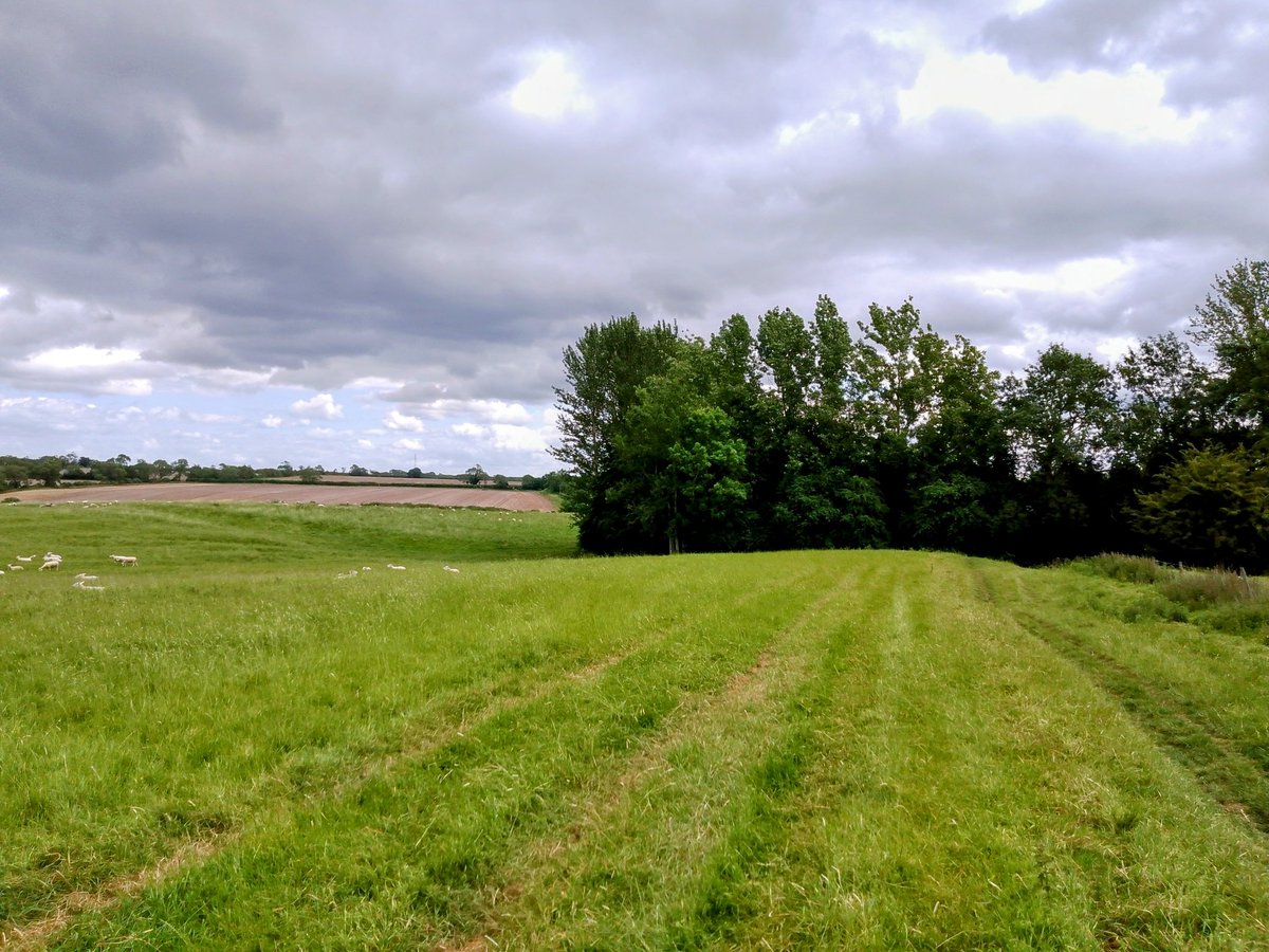phil0073's tweet photo. Close to #FaxtonCrossroads, on the #Kettering2Faxton way, viewing the probable remnants of the #Faxton2MawsleyWood on the left & woods covering site of #CliffesDale cottage on right.
#PhilOnaBike #MondayMeander #FridayFields #FootpathFriday #FaxtonFields #JuneJaunts https://t.co/BO6pZHFGHL