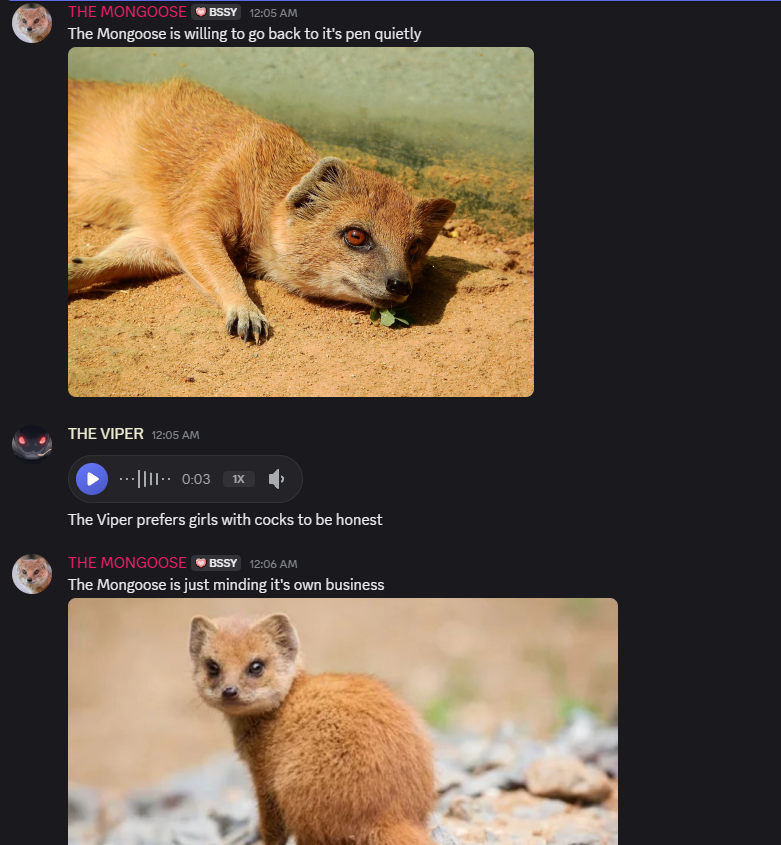 EmmaBeeReal's tweet photo. my community has turned into a zoo wtf 😭😭😭 https://t.co/qTDzoRO5Bo
