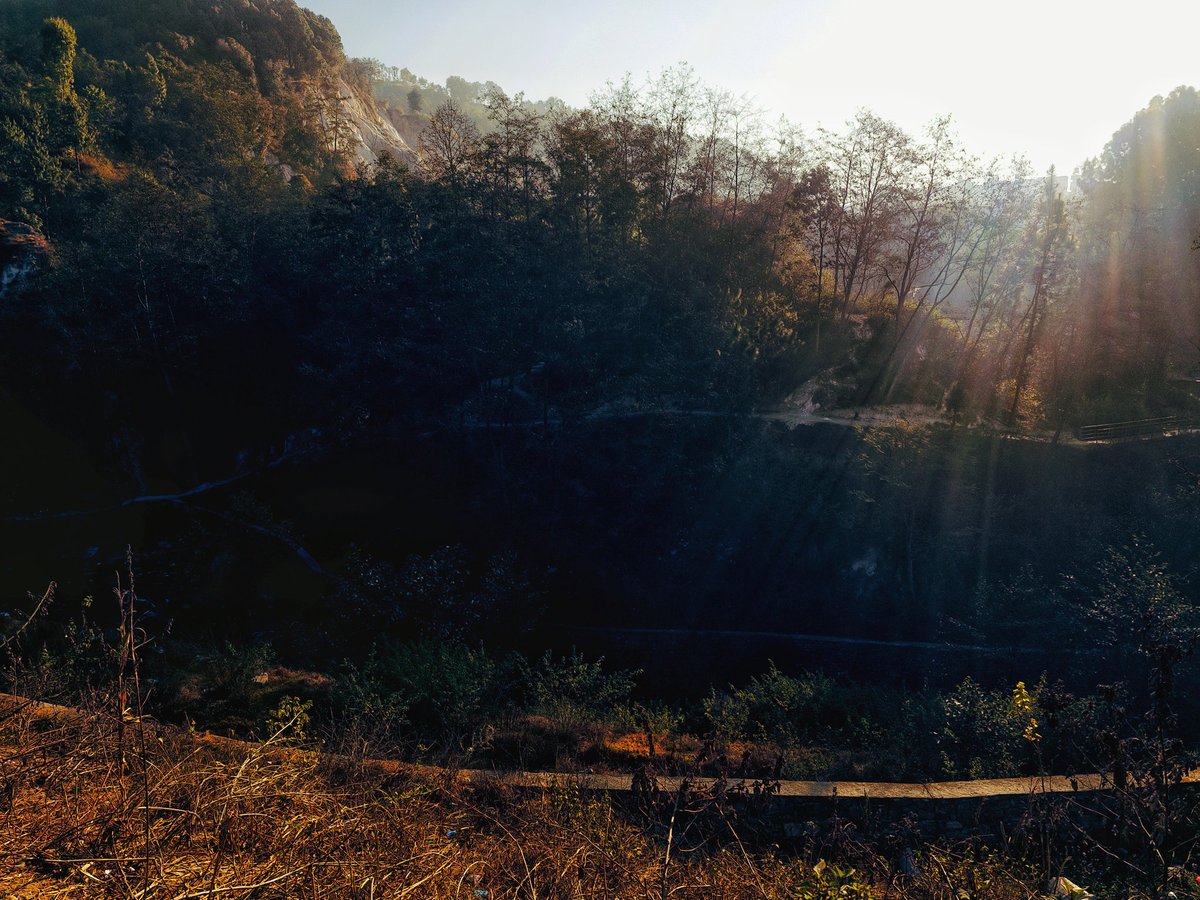 SachinAcharya's tweet photo. There is magic beyond the trees π³
#LandscapeLens #landscapephotography #photography #Nature #StromHour #withGalaxy #ShotOnSnapdragon
@ThePhotoHour @AP_Magazine https://t.co/6OcDyBcs4i