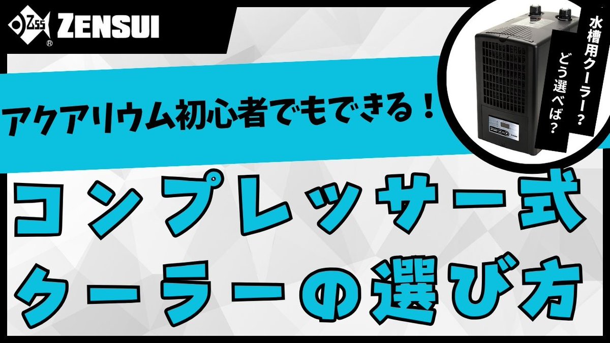 公式】ゼンスイ株式会社 (@zensui_zensui) / Posts / X