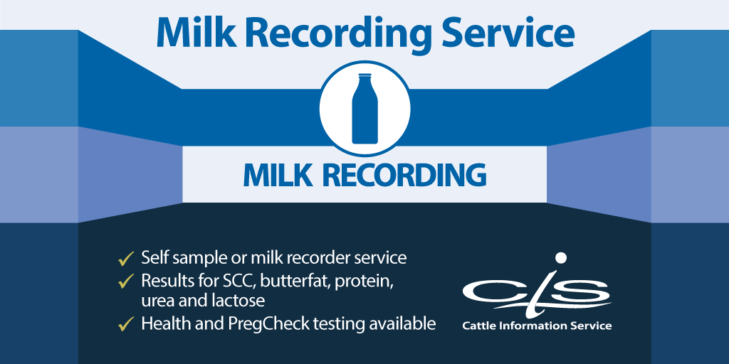 Milk recording is an essential tool for understanding a herd's health and productivity, providing the data needed to achieve a sustainable and profitable dairy business. It enables farmers to track key indicators of herd performance, such as milk yield and composite results.