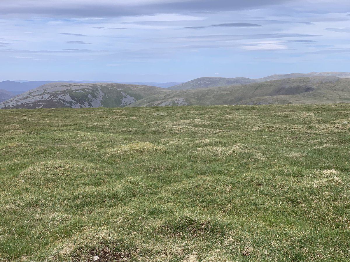 An enjoyable day trying and failing to see dotterel. 4 dunlin nests/broods and a couple of white tailed eagle were about it.
