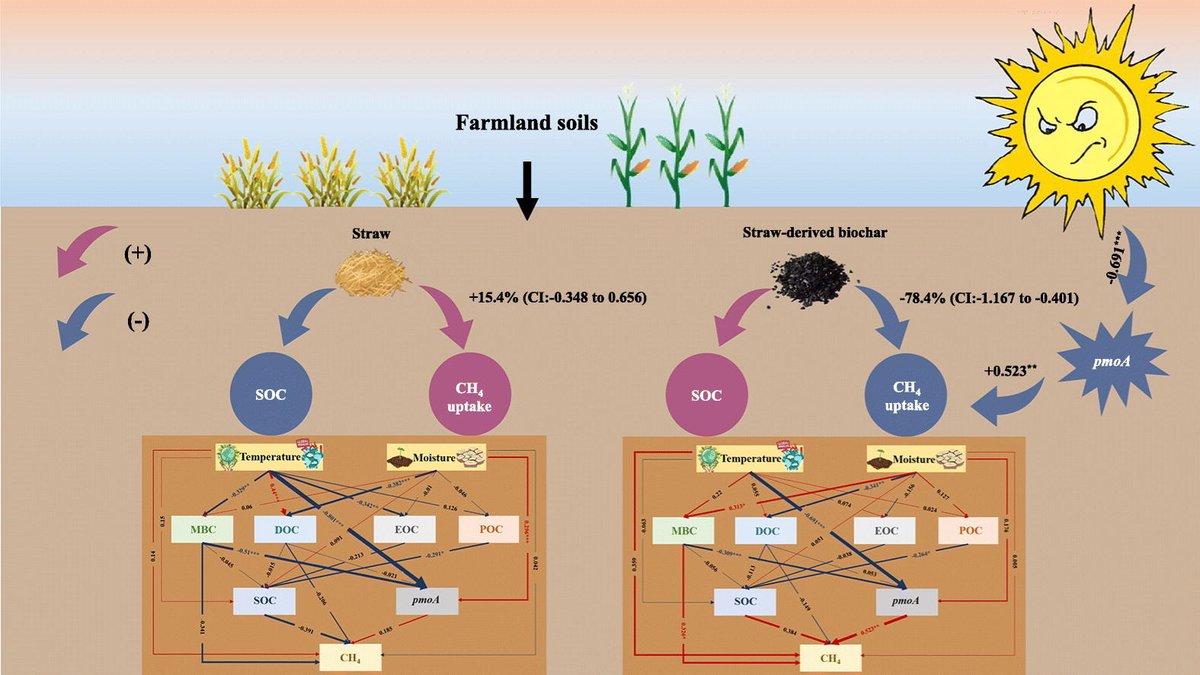 geoengineering1's tweet image. PAPER: Interactive effects of warming and drought on soil organic carbon sequestration and methane uptake in straw and biochar amended soils: Mechanisms and global implications
sciencedirect.com/science/articl…
