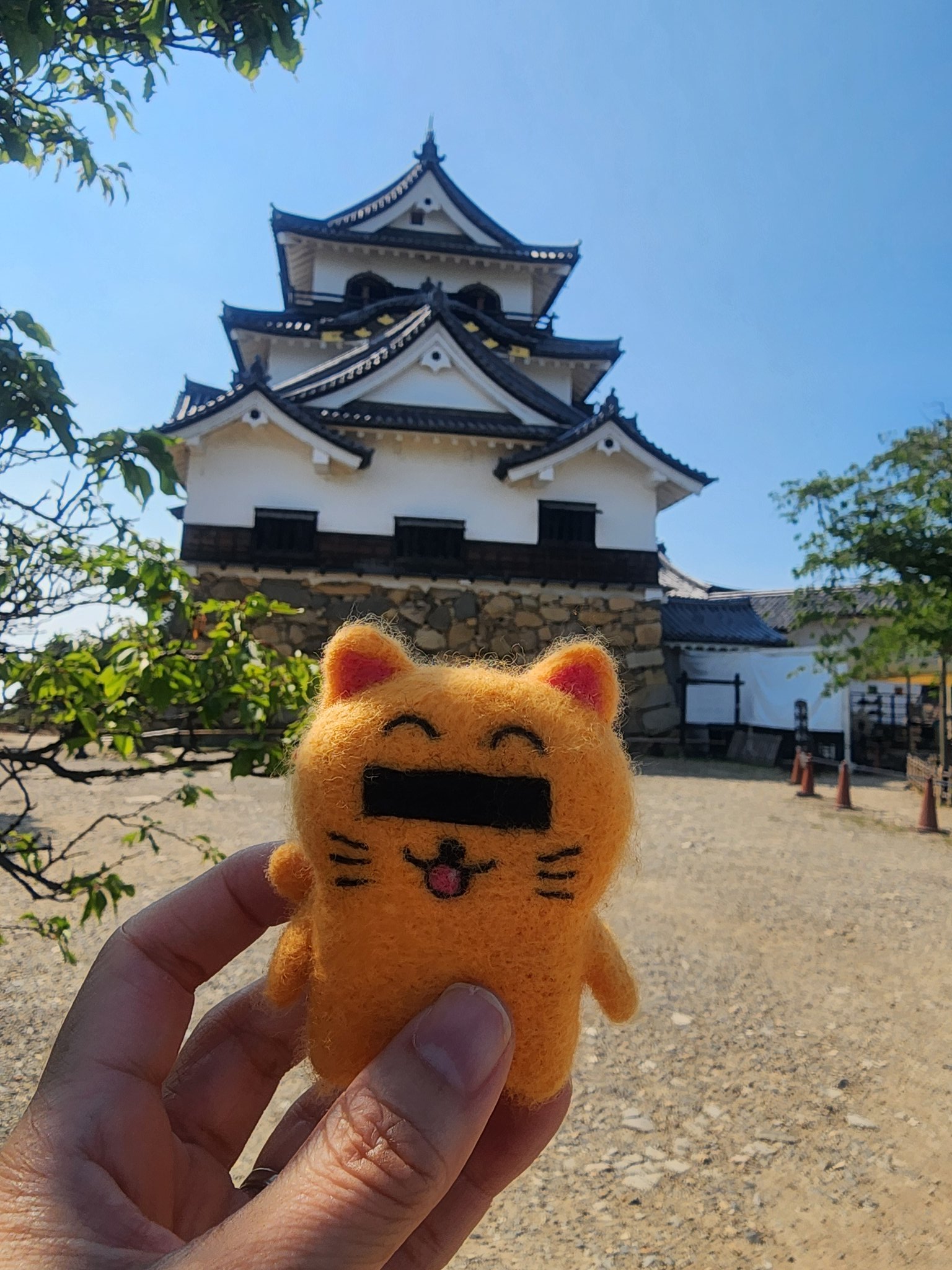 ニャンニャンニャンコ nyankoslipertop90.jpg