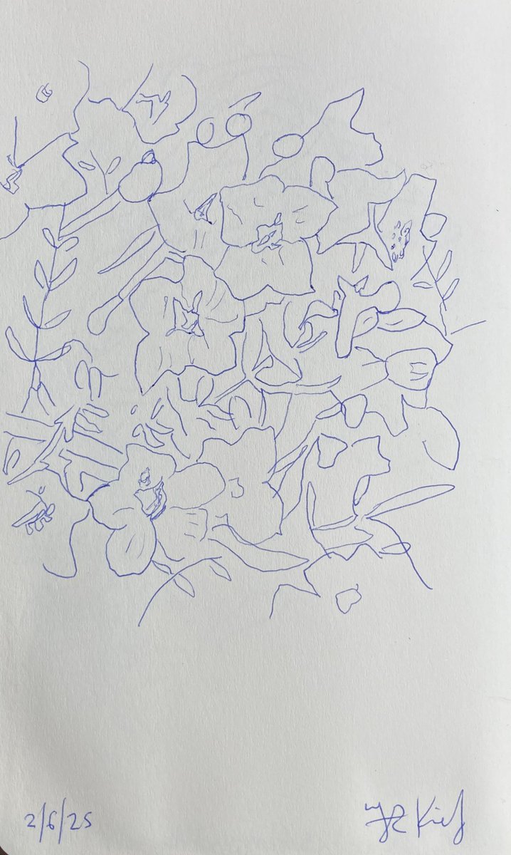 Today’s #sketch from 2/6/25 of #Nature #ballpoint #Pen #Drawing 21.5 x 13.5 cms  on paper

More sketches
instagram.com/frankkiely/