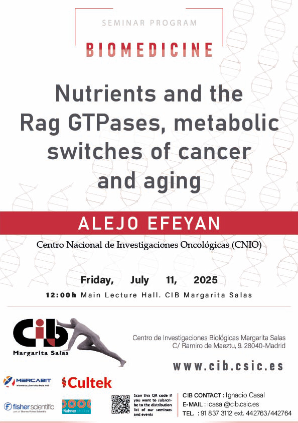 CIB_CSIC's tweet image. #REMINDER #CIBseminars

Nutrients and the Rag GTPases, metabolic switches of cancer and aging

Alejo Efeyan, Centro Nacional de Investigaciones Oncológicas (CNIO)

📆July 11
⏰12pm