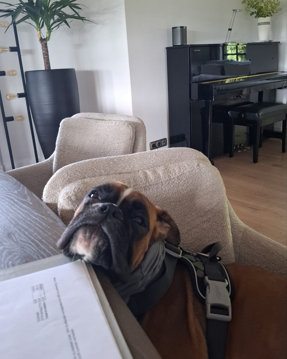 Wij gaan een paar tropische montage dagen tegemoet! ☀️🌡 Wij zijn mobiel bereikbaar, want van onze secretaresse verwachten wij niet veel medewerking deze dagen😏

fremazonwering.nl

#zonwering #Rhenen #Veenendaal #Ede #Wageningen #Utrecht #Arnhem #Nijmegen #Gelderland e.o.