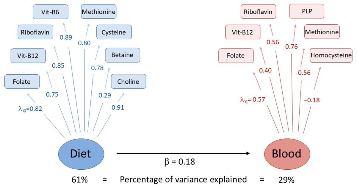 BiblioEASP's tweet image. #Produccioncientifica @EASPsalud Association Between #DietaryIntake and Blood Concentrations of One-Carbon-Metabolism-Related Nutrients in European Prospective Investigation into Cancer and Nutrition @mjsanchezperez #EASPdivulga mdpi.com/2072-6643/17/1…